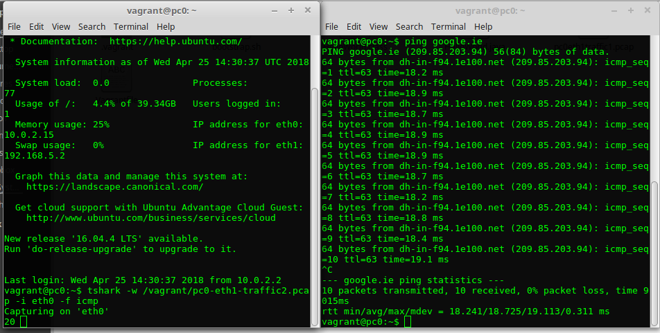 Pinging google.ie and recording ICMP traffic